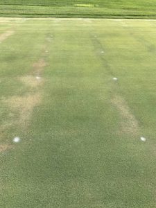 Testing for the effectiveness of wetting agents on a turf field