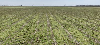 Weed burndown strategy benefit from the right adjuvant choices