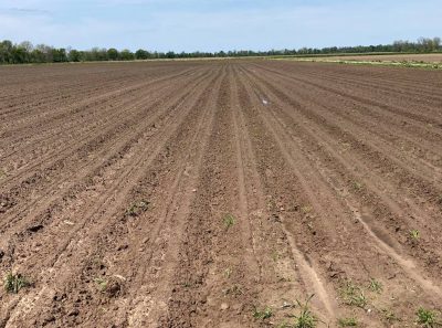 A field without crops ready for pre-emergence herbicide applications to place before crops emerge. Proper application helps provide a good competition-free environment for crops to begin their development.