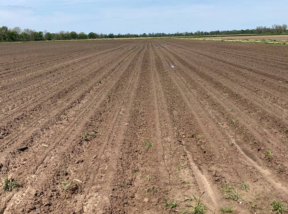 Read more about the article Pre-Emergence Herbicide Applications
