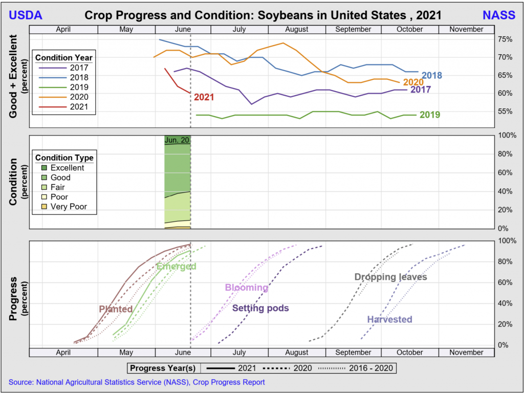 The crop progress and conditions for soy beans on June 21, 2021.