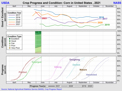 Crop Progress and Condtions for Corn