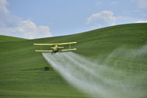 Fungicides can be applied by crop dusters