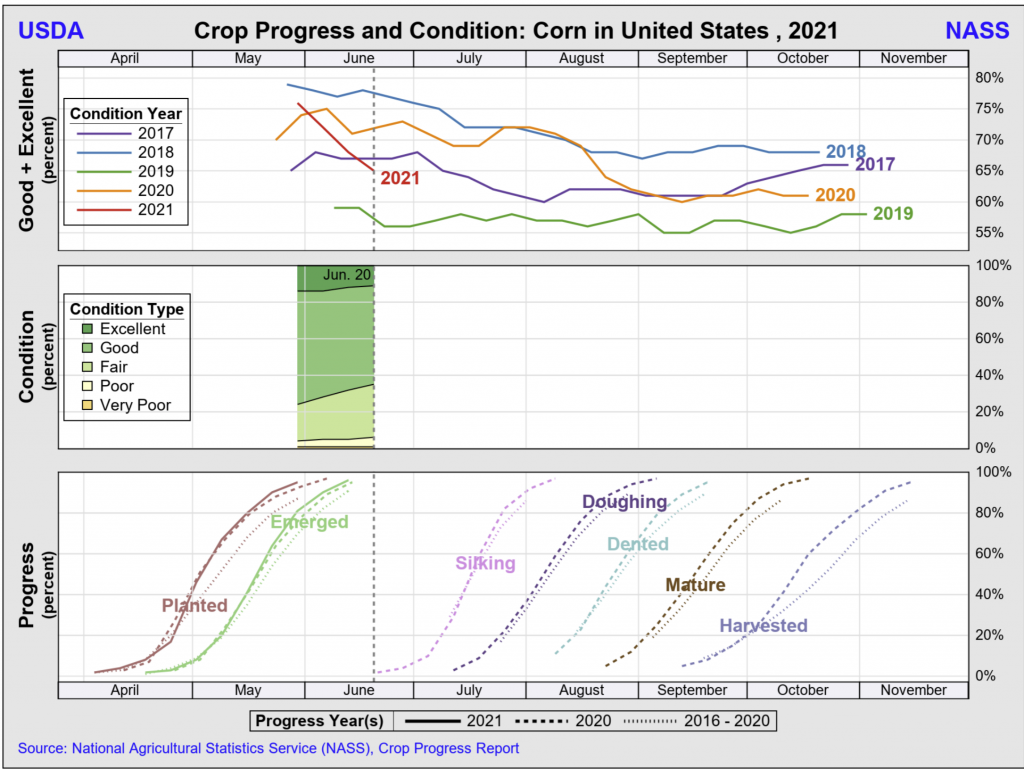 The crop conditions and progress for June 21, 2021