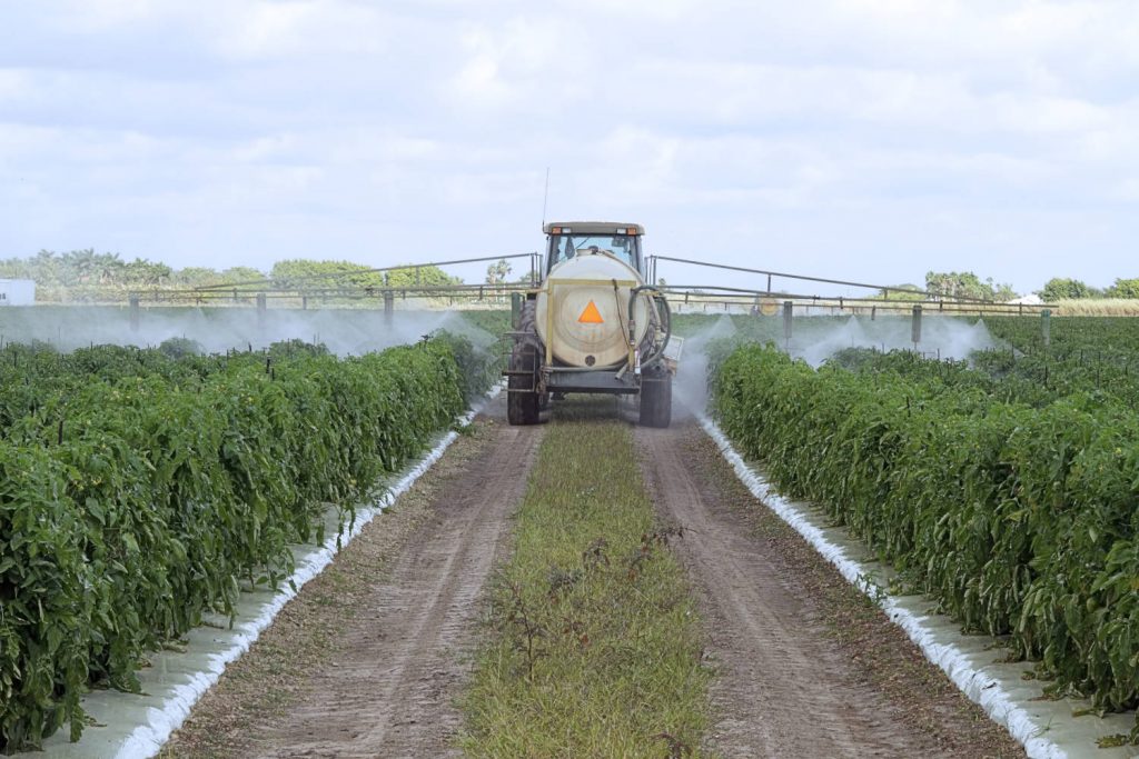 fungicide application on a tomato field