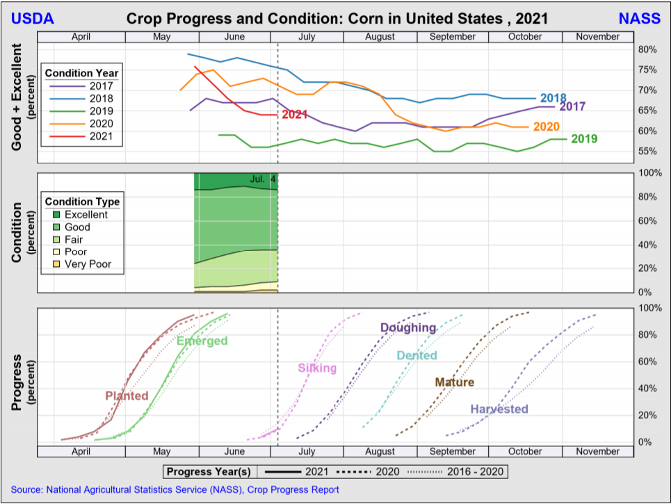 Corn crop condition July 6, 2021