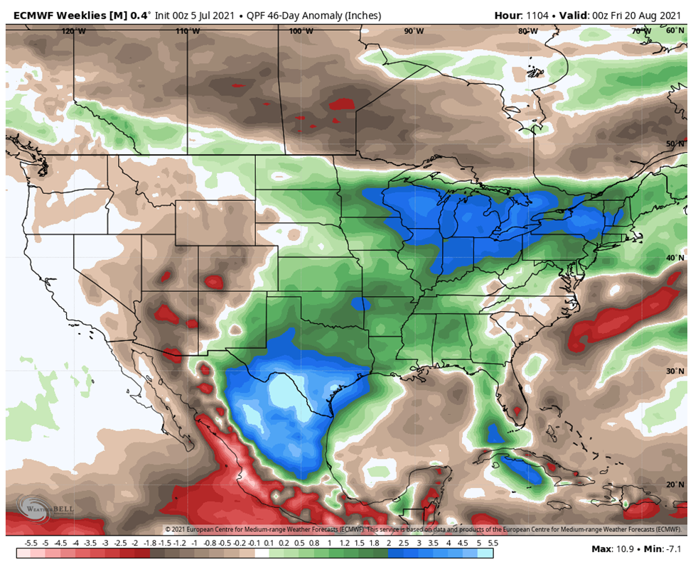 Longer term precipitation outlook