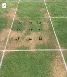 When it does not rain enough, LDS shows up when no wetting agent is applied