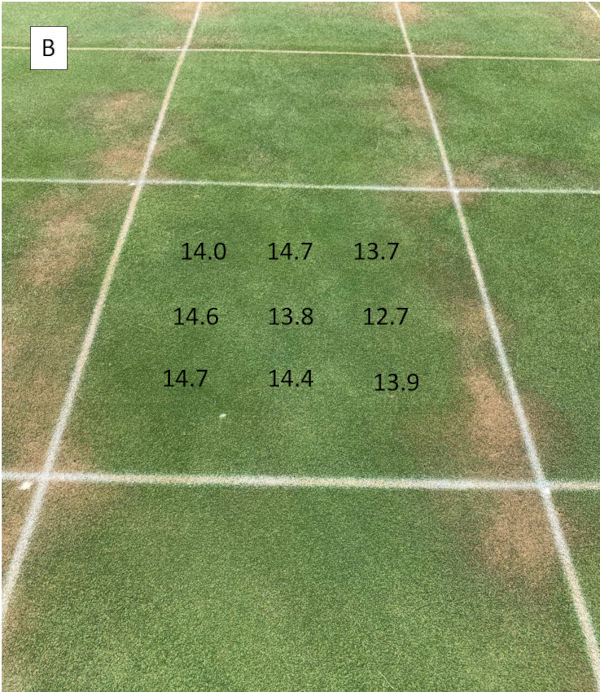 field 1b treated