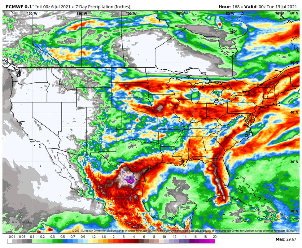 Near-term rain forecast