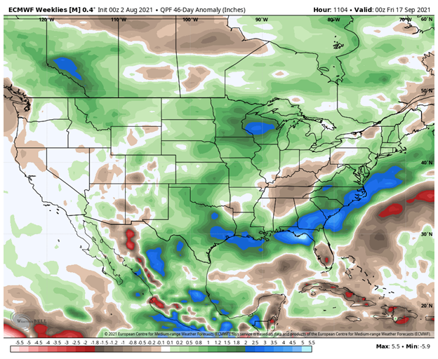 46-day rain anomaly forecast until September 17, 2021