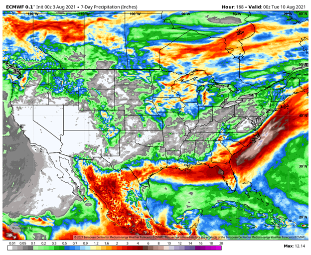 ECMWF weeklies 7 day precipitation