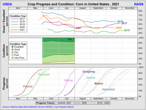 Corn crop progress corn August 2, 2021