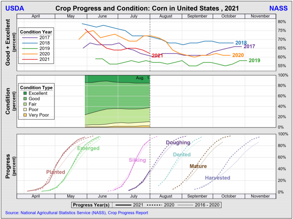 Read more about the article US Crop Update August 3