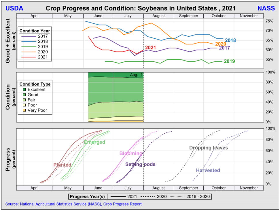 Soybean crop progress August 2, 2021