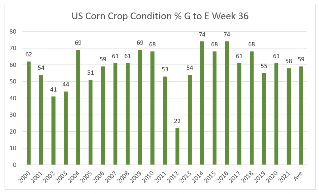 Corn crop conditions September 13, 2021