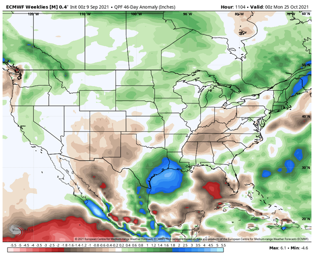 ecmwf weeklies long term precipitation forecast