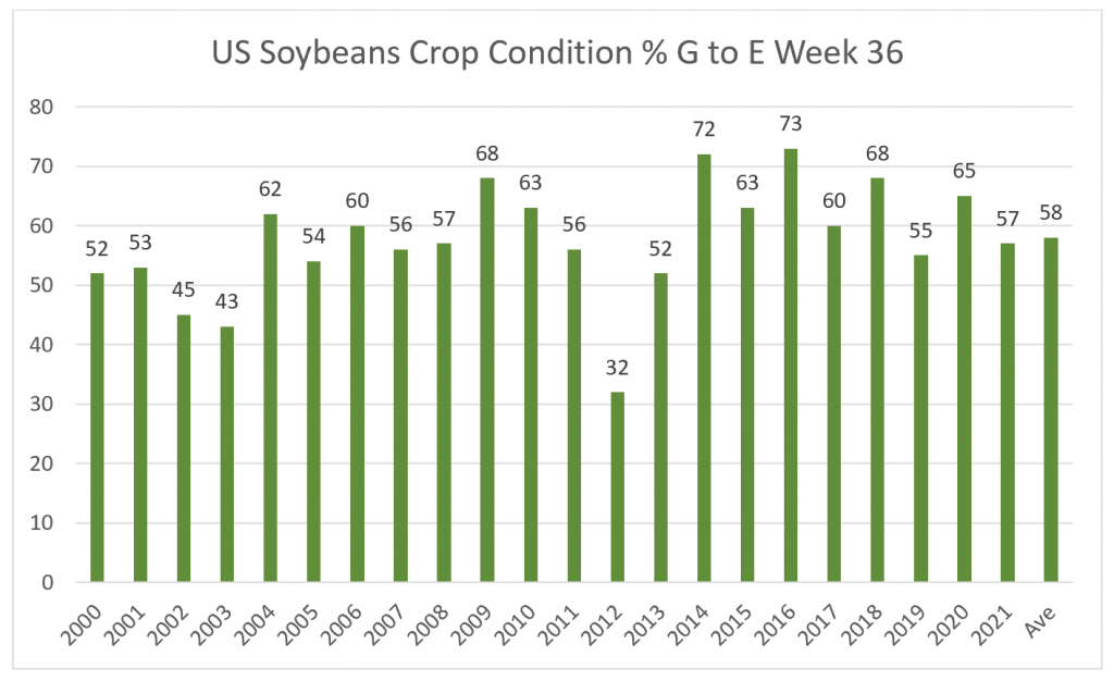 Corn crop condition September 13, 2021