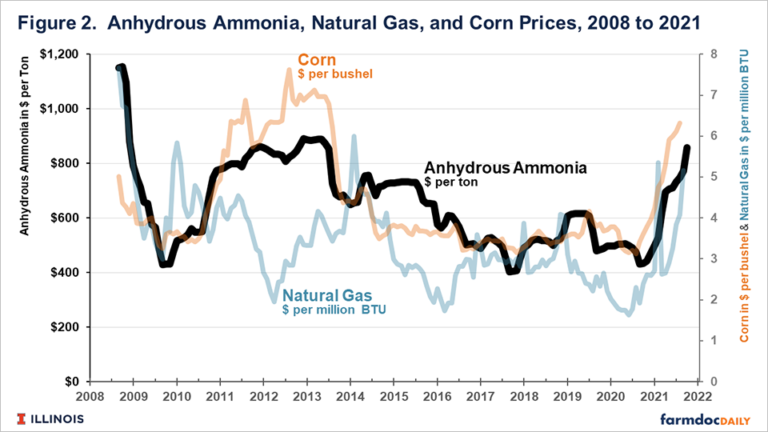 Corn prices per bushel related to nitrogen and gas prices