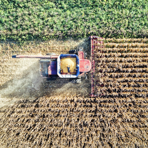 Production ag is the passion of Baryan Young in the cutting edge perspective Photo by Tom Fisk from Pexels