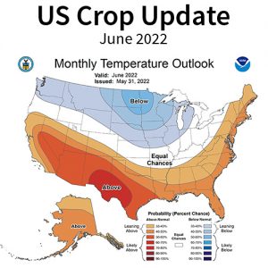 june 2022 us crop update