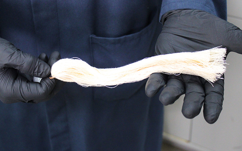 cotton skein used for draves test for wetting agents and surfactants