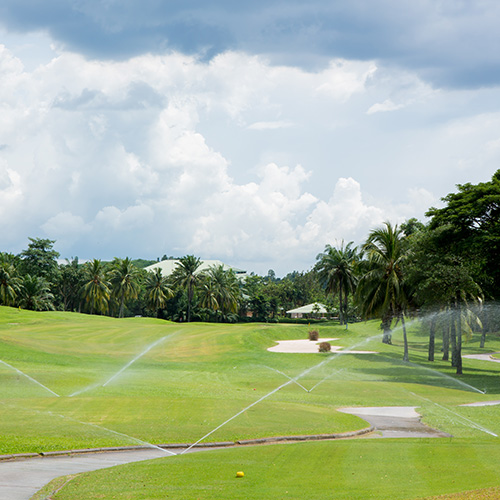 golf course turf with irrigation