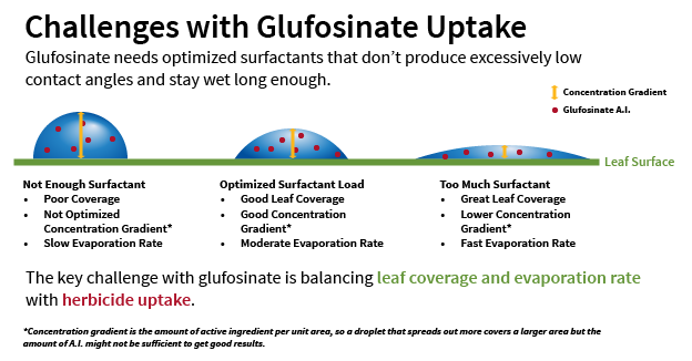 Optimizing glufosinate uptake requires the right surface tension in spray droplets