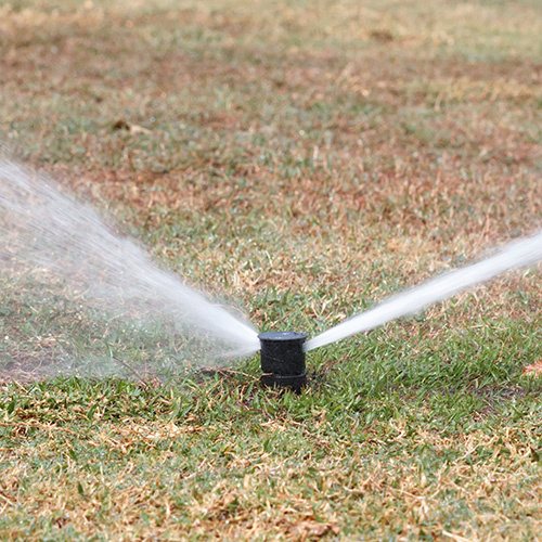 mark mahady, moisture management, irrigation, turf, wetting agent, surfactant, water conservation