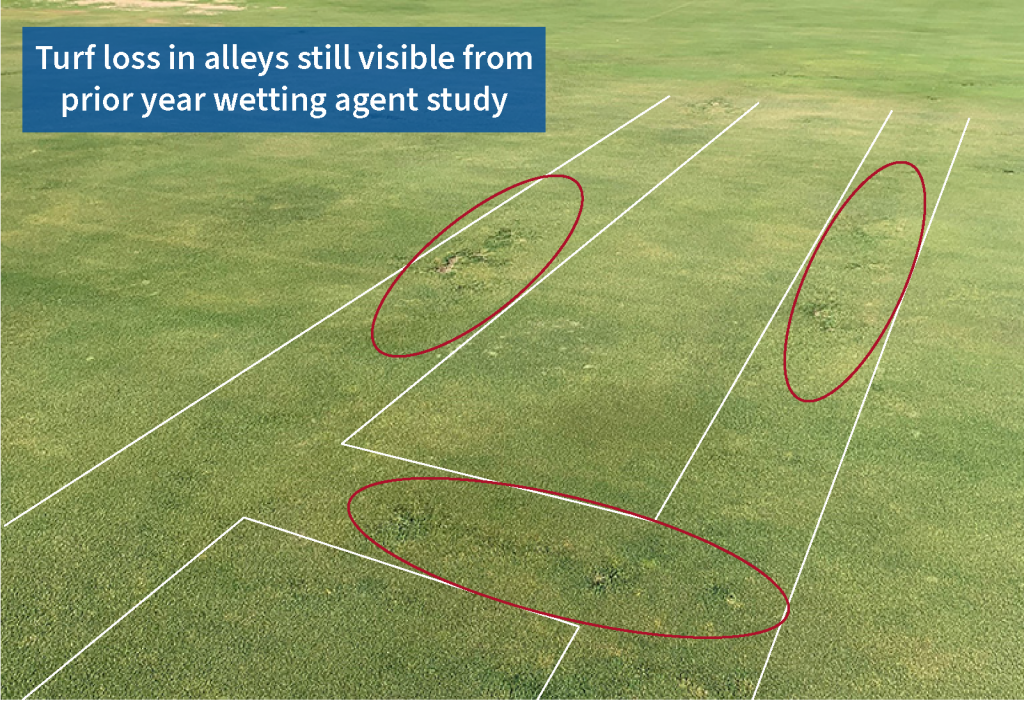 turf loss visible in alley ways from prior year wetting agent study circles showing turf density loss