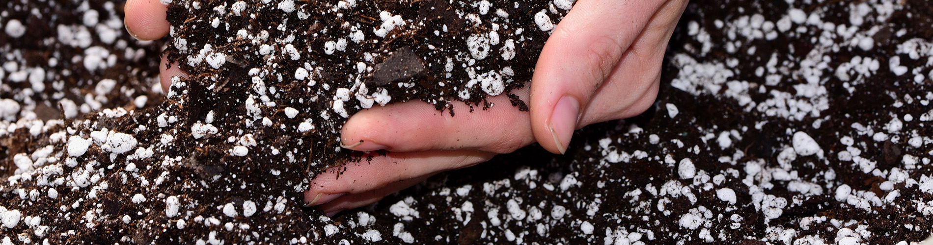 potting soil in hands wetting agents