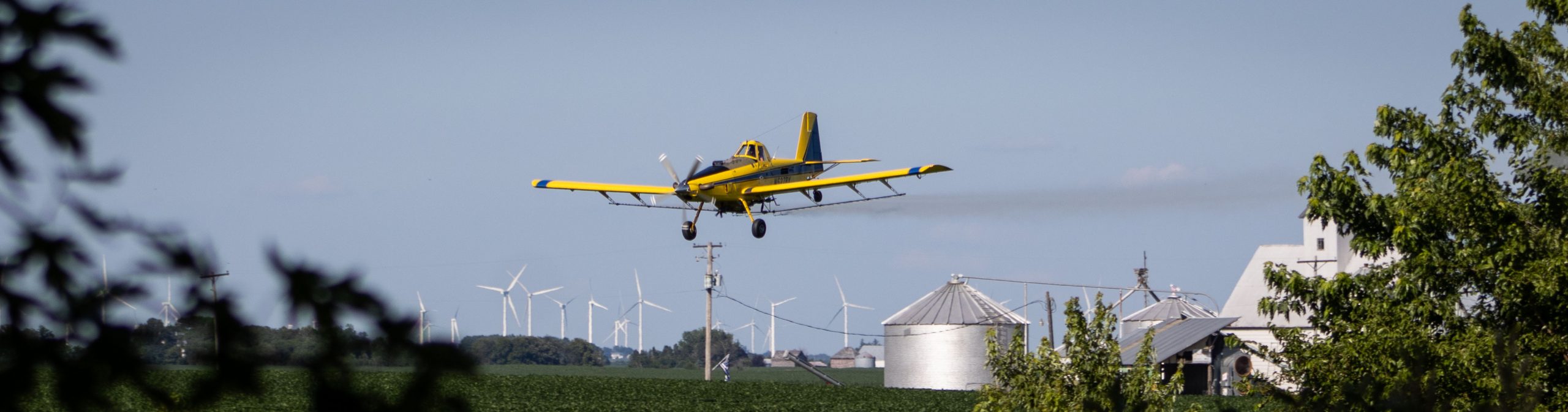 fungicide application soybeans corn fungal pathogen disease