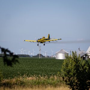 fungicide application soybeans corn fungal pathogen disease