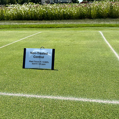 Read more about the article Turf Field Testing – Where Great Ideas Become Great Products