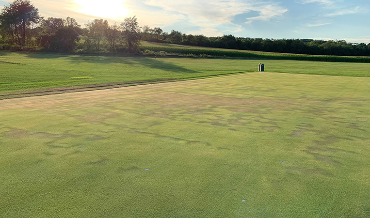 turf plot impacted by localized dry spot, hydrophobic areas