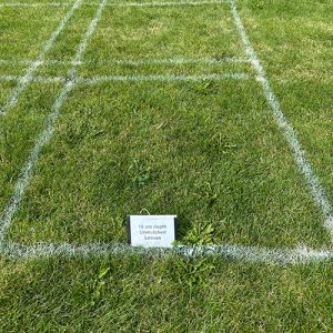 turf research highlight field day athletic field mulched leaves