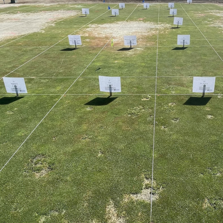 Salinity tests with wetting agents at UC Riverside, CA 750x750