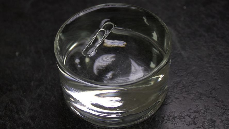 Surface tension allows a paperclip to float on top of water