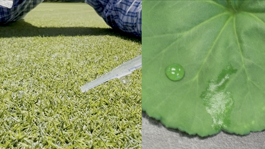 Adding a surfactant to a liquid improves its spreading ability, increasing the chances it will penetrate a leaf or soil.