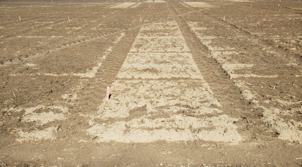 field after pre-emergence herbicide application showing less moisture with use of adjuvant
