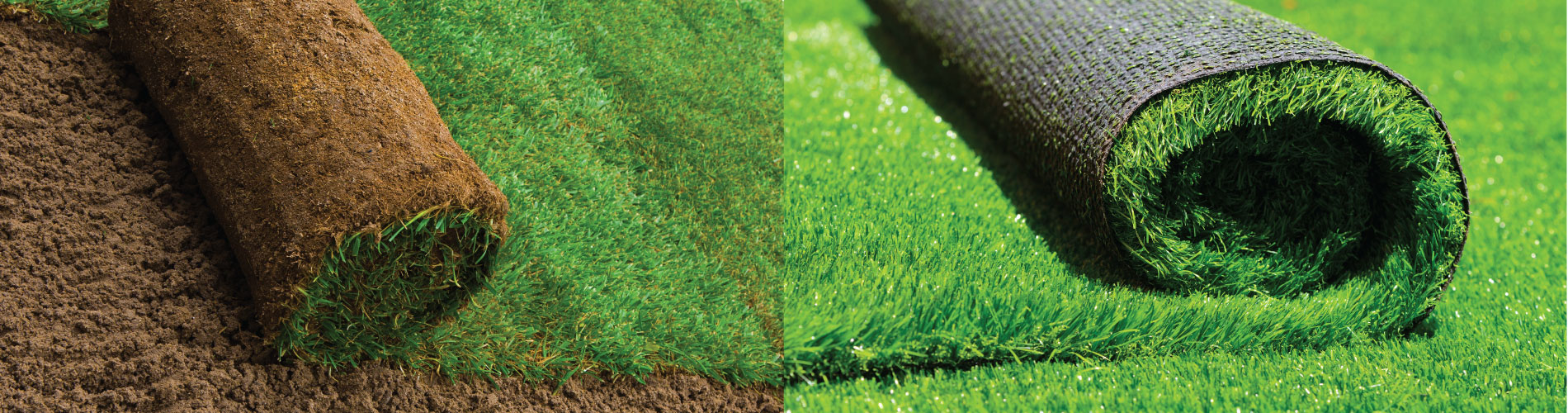 natural turfgrass vs artificial turf