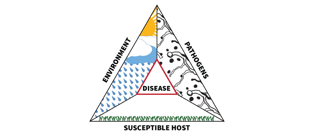 disease triangle - environment, pathogen, susceptible host