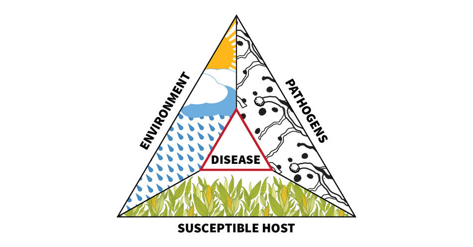 disease triangle - environment, pathogen, susceptible host