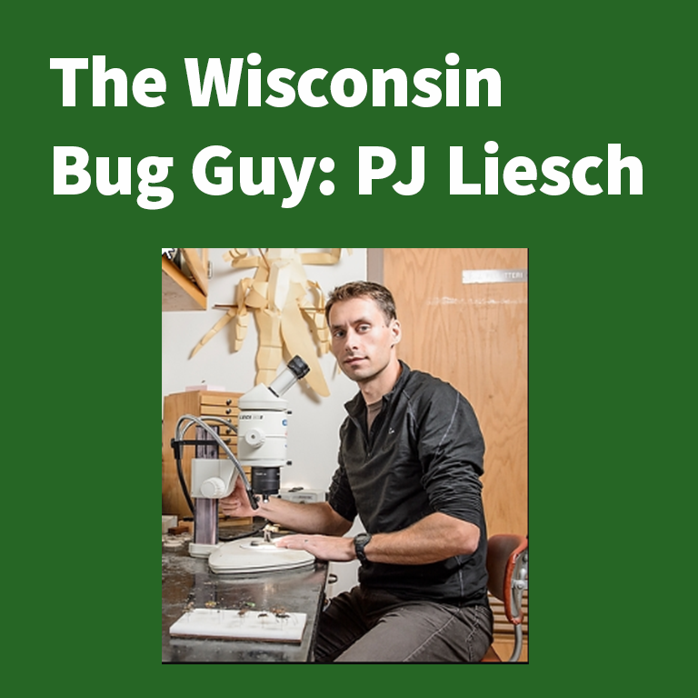 cutting-edge perspective PJ Liesch the wisconsin bug guy director of university of Wisconsin Madison Insect Diagnostic Lab