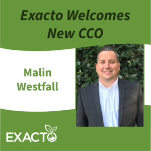 New CCO Malin Westfall