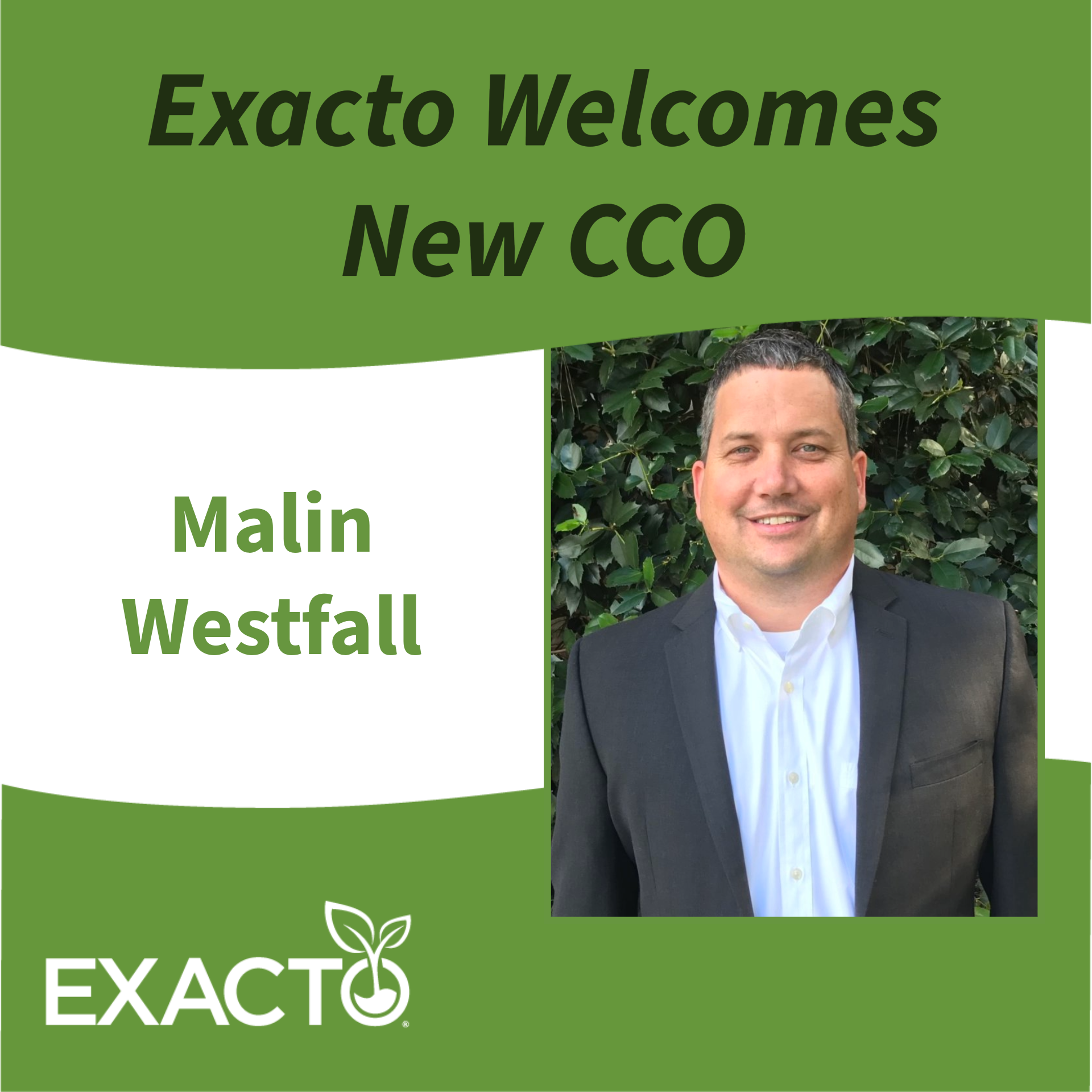 New CCO Malin Westfall