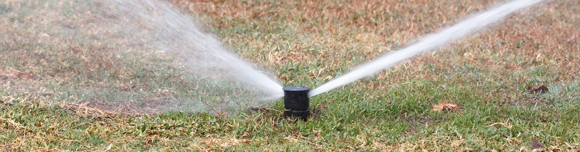 mark mahady, moisture management, irrigation, turf, wetting agent, surfactant, water conservation