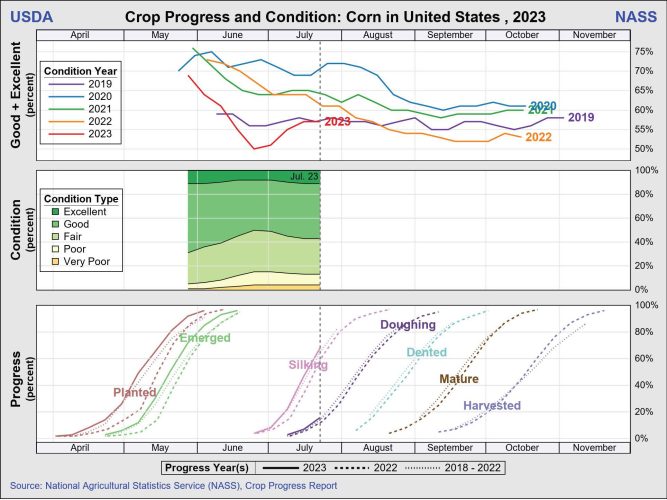 US_corn_crop_progress_condition_charts_2023