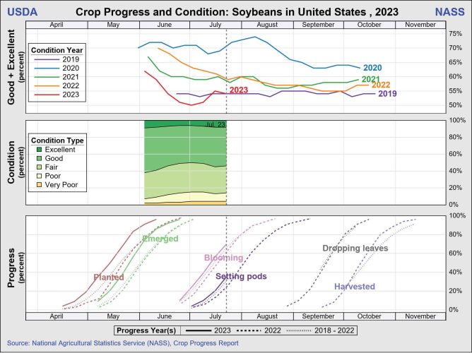 US_soybean_crop_progress_condition_charts_2023
