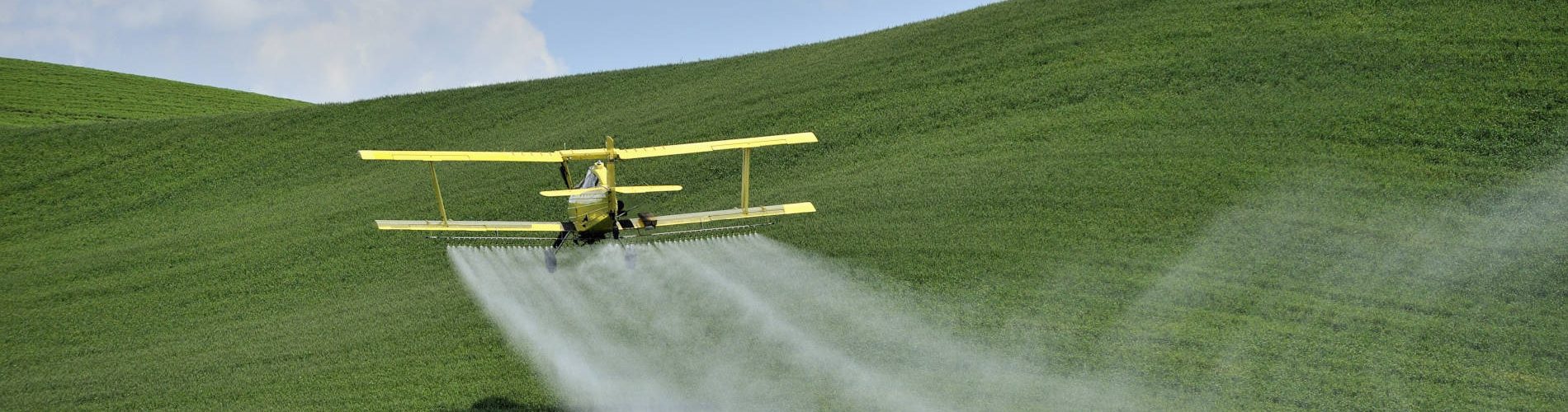 Fungicides can be applied by crop dusters